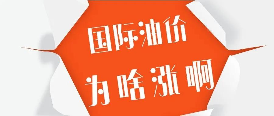 国际油价最新动态，获取与理解步骤指南