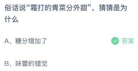 蚂蚁庄园最新探讨，观点与立场的碰撞