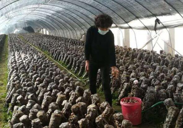 疫情最新动态下的宅家日常趣事与深厚友情探索
