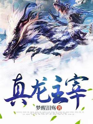 执掌风云小说最新章节更新动态