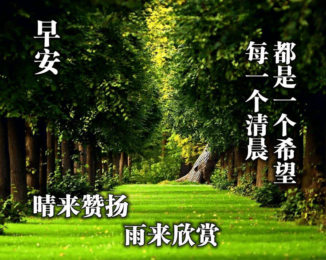 最新教师节图片集锦，自然美景的探索之旅