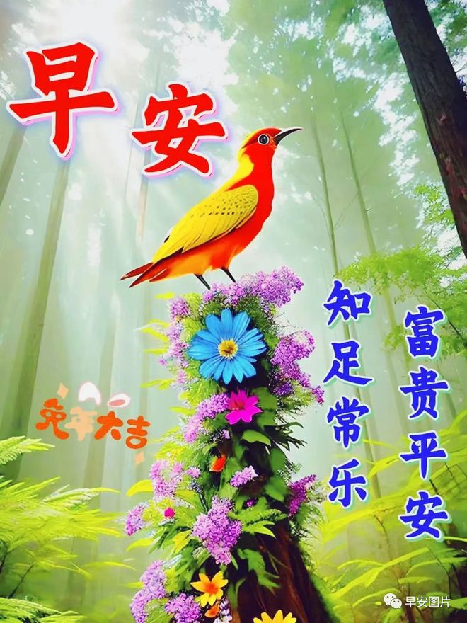 早安图片最新图片2023,早安图片最新图片2023，获取与分享步骤指南