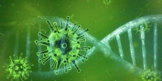 病毒最新动态，世界在变化，学习赋予力量
