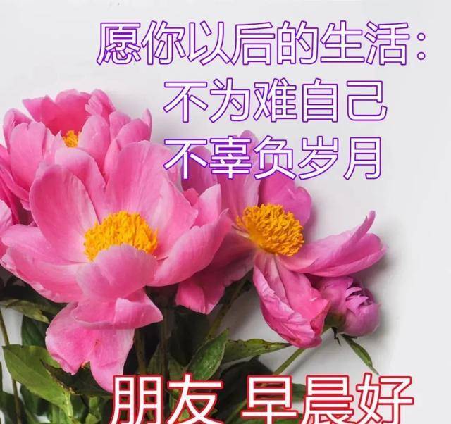 最新最美早上好图片，每日清晨的温馨问候与祝福