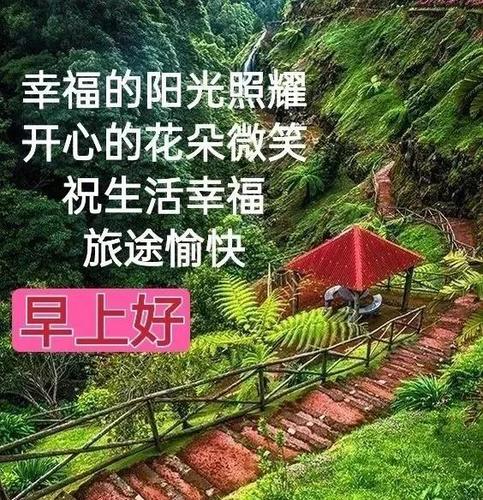 最新版早上好，小巷深处的隐藏瑰宝探寻之旅