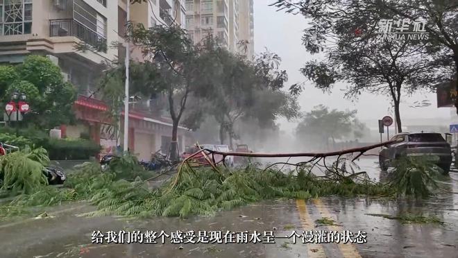 台风15号最新消息,台风15号最新消息与小巷中的惊喜——一家特色小店的故事