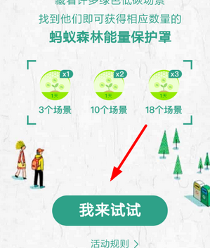 蚂蚁森林今日最新问题答案揭秘，小巷深处的绿色宝藏