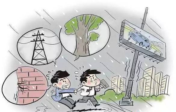 台风最新消息交织的温馨日常故事