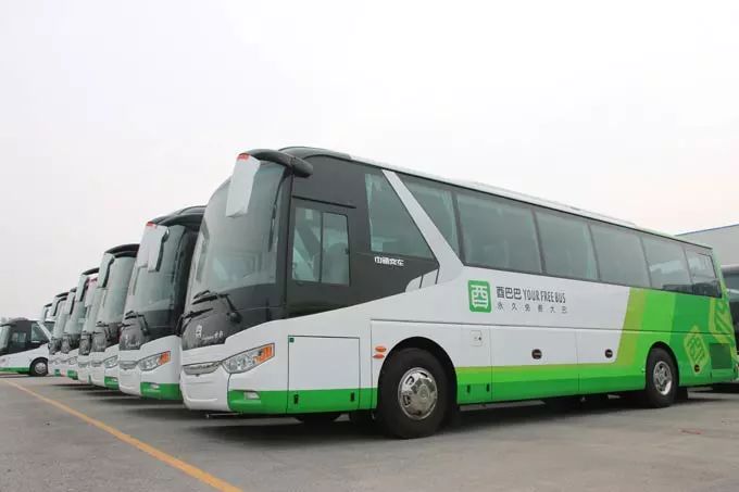 javbus最新地址,Javbus最新地址大揭秘，等你来探索！