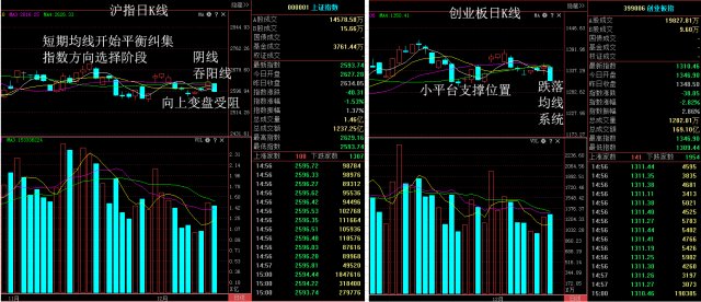 深赛格重组最新动态揭晓，最新消息一览无余