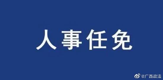 广西最新人事任免,广西最新人事任免，解读与观点阐述
