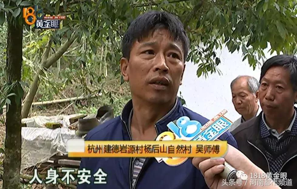 今天杭州地震最新消息,杭州地震最新消息与小巷深处的独特风情小店