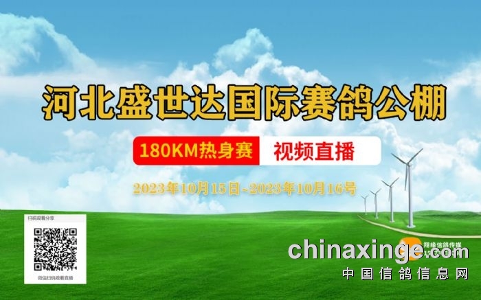 盛世达公棚最新公告发布