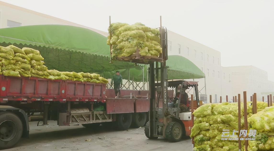 叉车工最新招聘信息汇总，叉车兄弟的职场欢乐日常