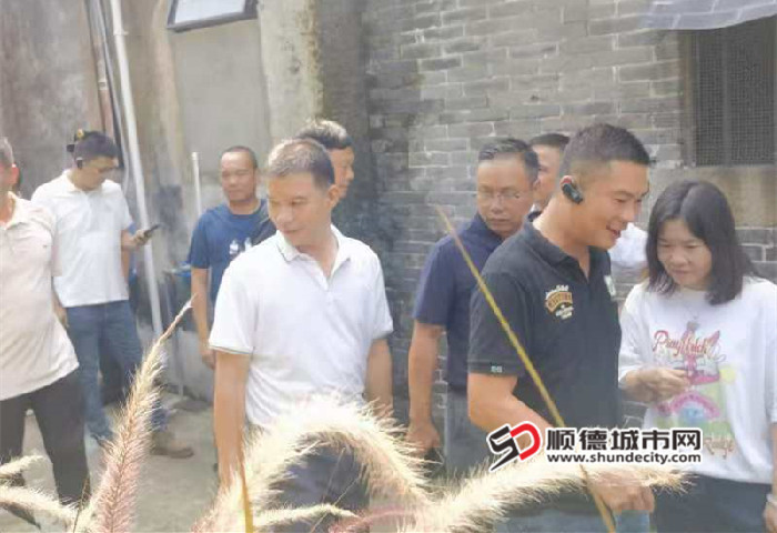 朱军案最新结果,朱军案最新结果，巷弄深处的独特风味探秘