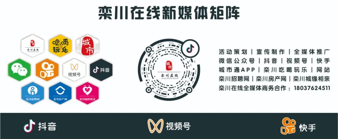 栾川在线最新招聘观点论述全解析