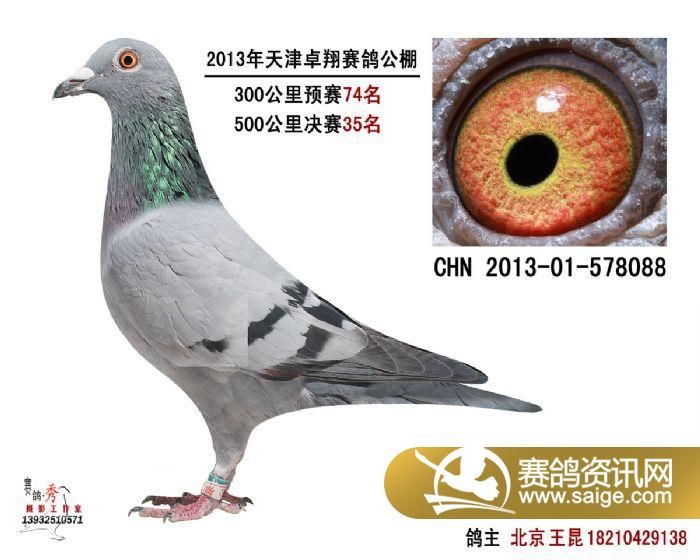 大数据服务 第64页