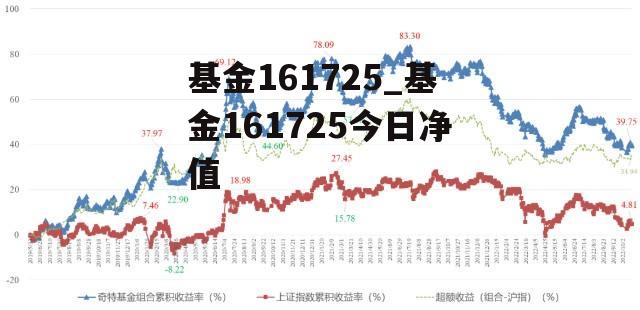 161725基金净值查询今天最新净值,探寻161725基金今日净值之旅