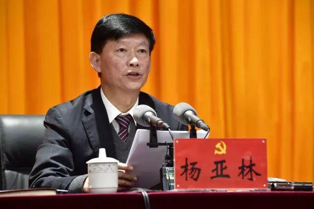 黄金实物最新价格,黄金实物最新价格，科技重塑黄金价值，体验前所未有的智能生活