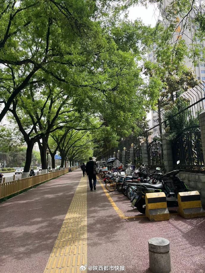 西安最新天气预报与小巷风情小店探秘之旅