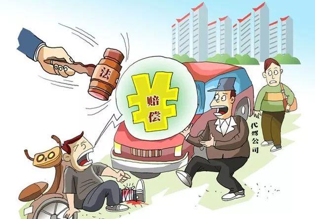 最新排球裁判规则,最新排球裁判规则解析