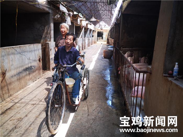 宝鸡最新猪价，探寻内心平静的旅程
