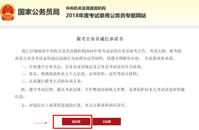 最新股指解读，初学者与进阶用户的查询指南与步骤解析