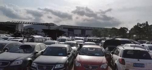 临海土地拍卖最新动态及热点分析，发展趋势展望