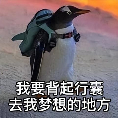 最新野马汽车，一段温馨的旅程启程