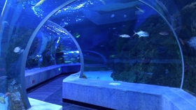 海洋新闻热点，小巷深处的海洋味道与特色小店的奇遇