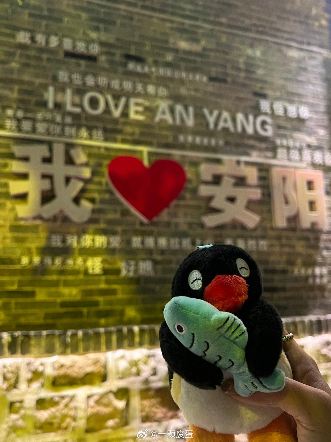 最新安阳说，温馨日常趣事分享
