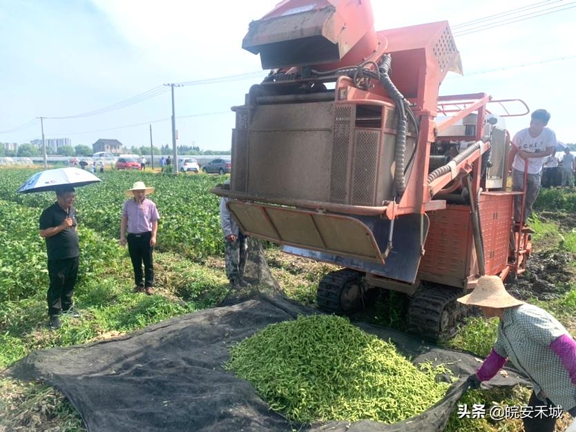 海盐最新新闻，学习变革浪潮中的自信与成就感之源