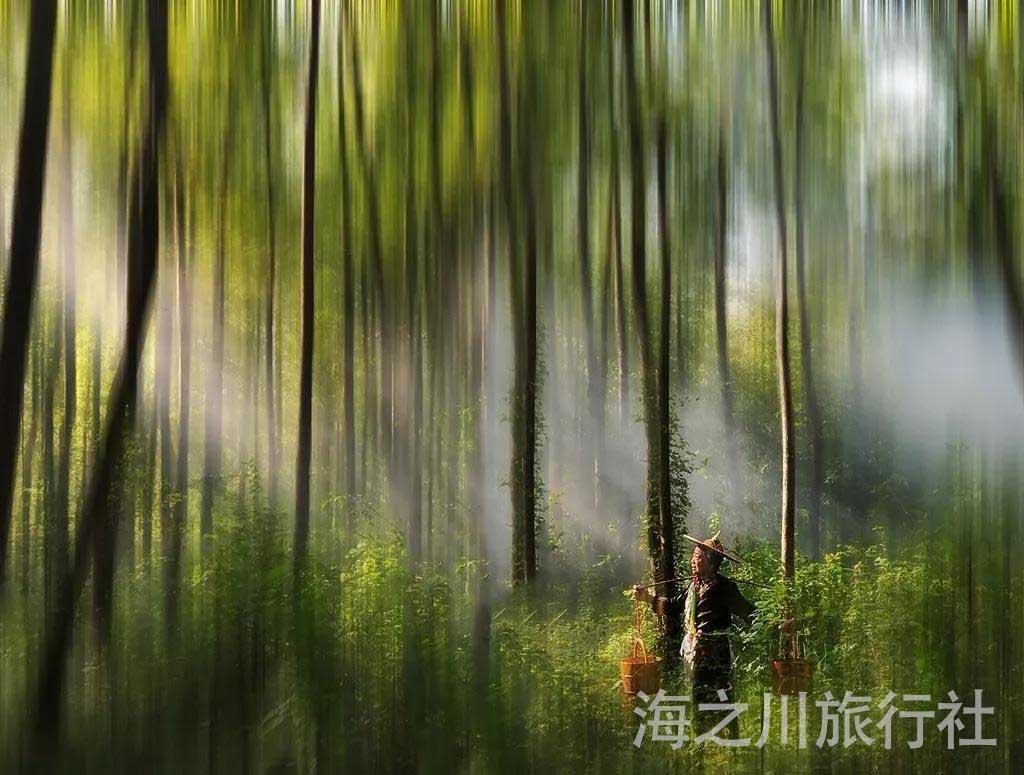 霞浦最新房价,霞浦最新房价，科技重塑居住梦想，前沿体验引领未来