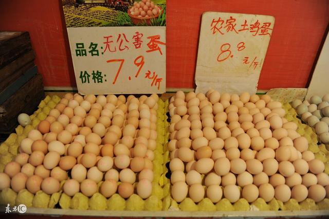 甘肃今日最新鸡蛋价格,甘肃今日最新鸡蛋价格